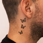 Small Butterflies