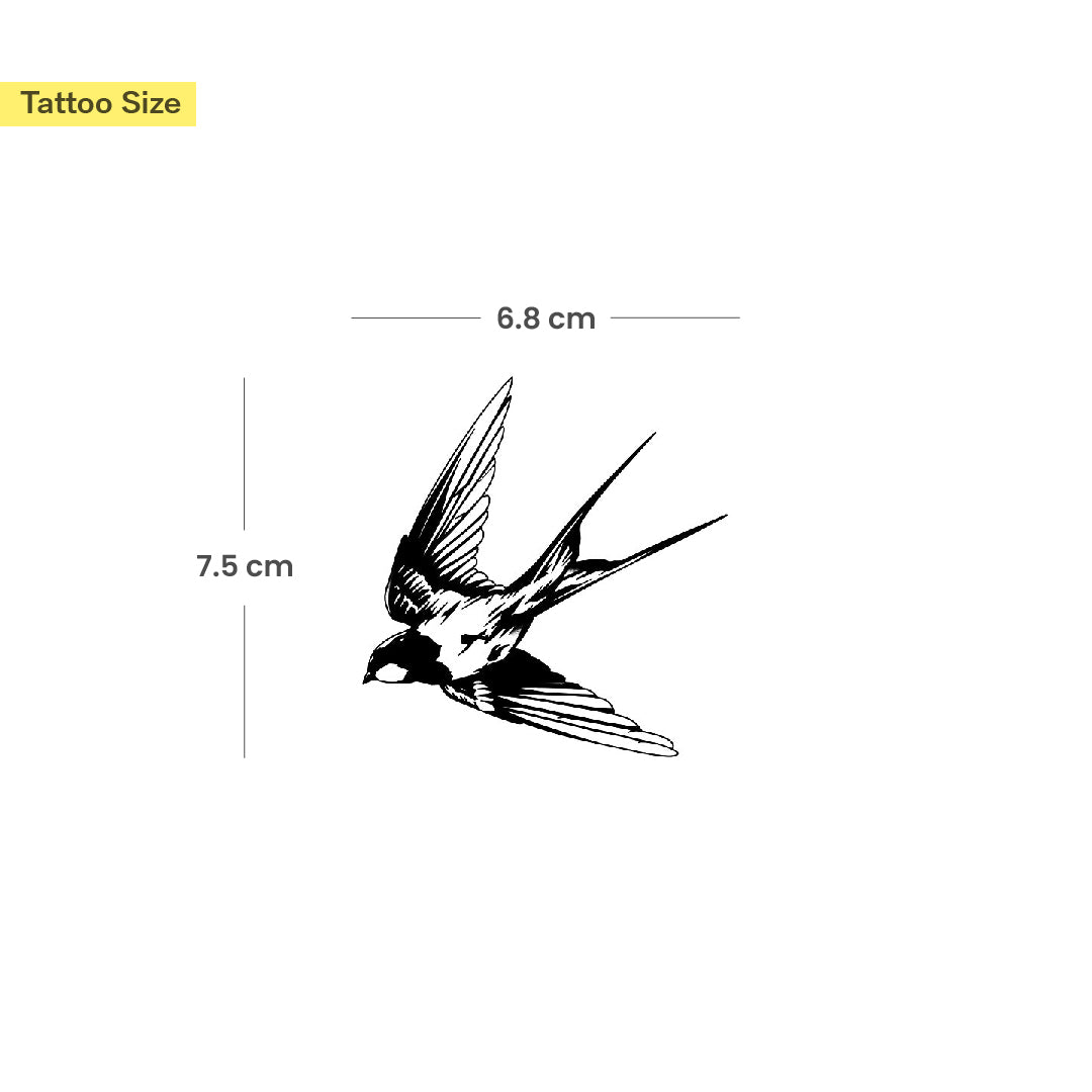 Swallow