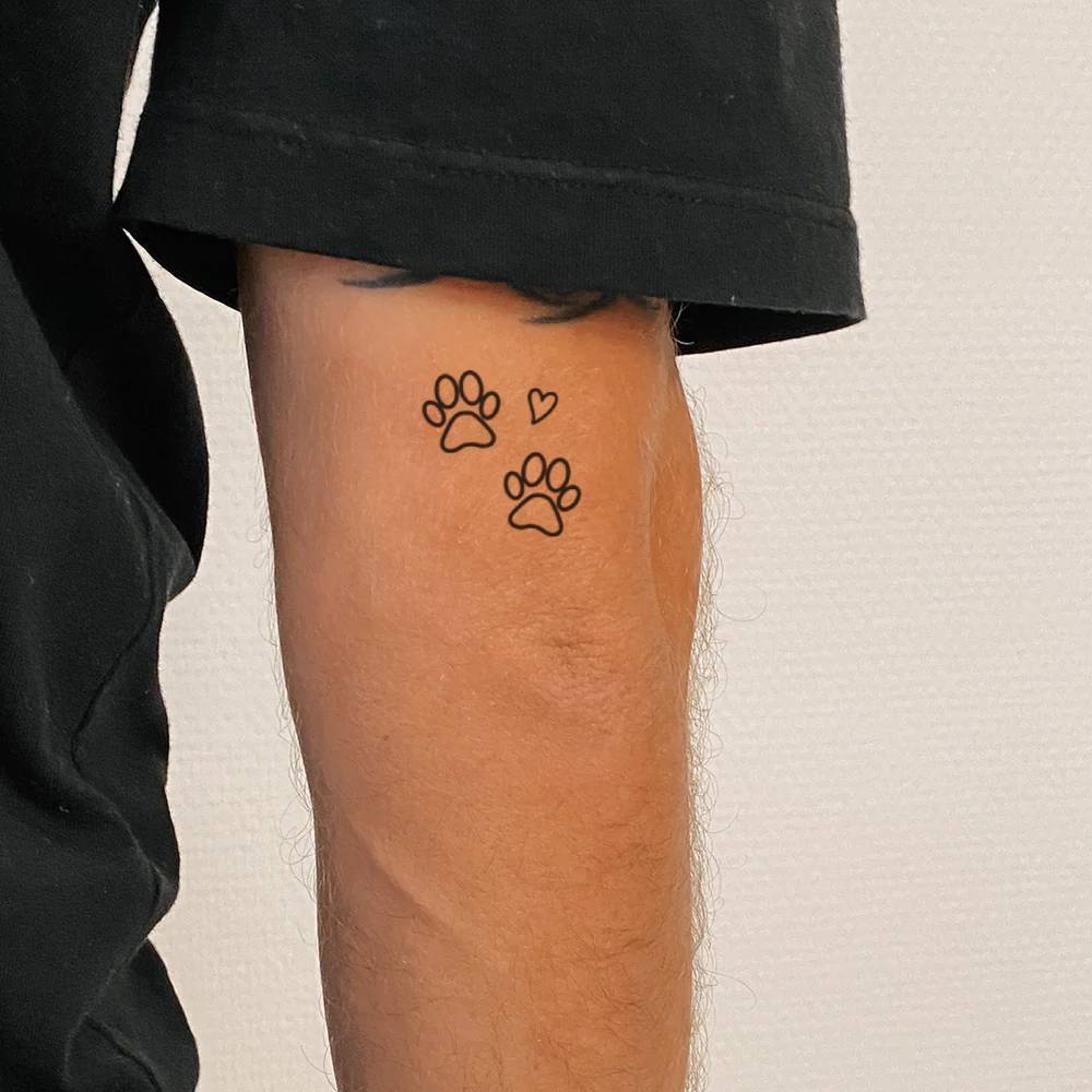 Paw prints