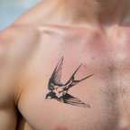 Swallow